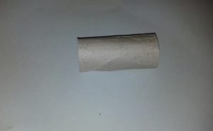 vecchio tubo di cartone della carta igienica