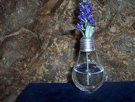 upcycling lampadine fare vasetti