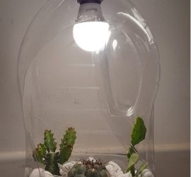 mini giardino in bottiglia